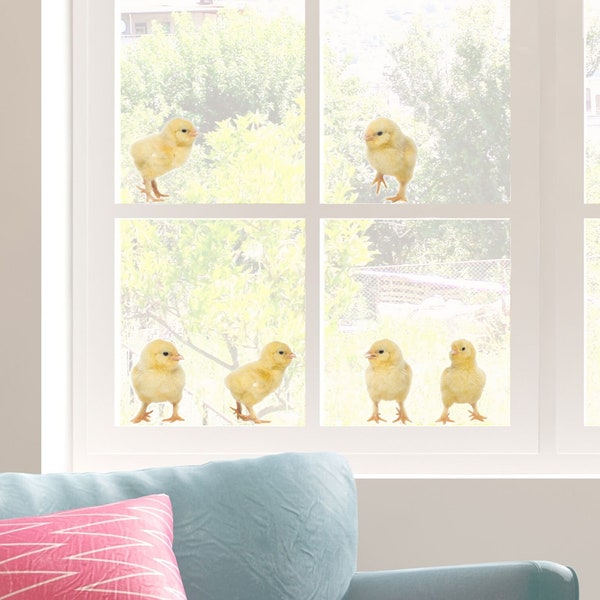 Chick window stickers, Easter window sticker, chick window decoration, Easter animal window sticker, Spring window sticker, Little Chicks