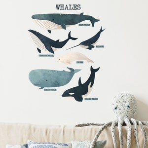 Whale Wall Sticker Pack, Underwater Wall Decals, Whale Stickers for Walls, Underwater Themed Room, Ocean Wall Stickers, Named Whales