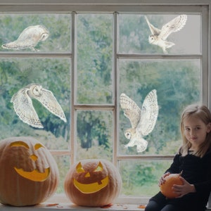 Owl window stickers, Autumn window stickers, Autumn decoration, Fall decoration, Autumn window decal
