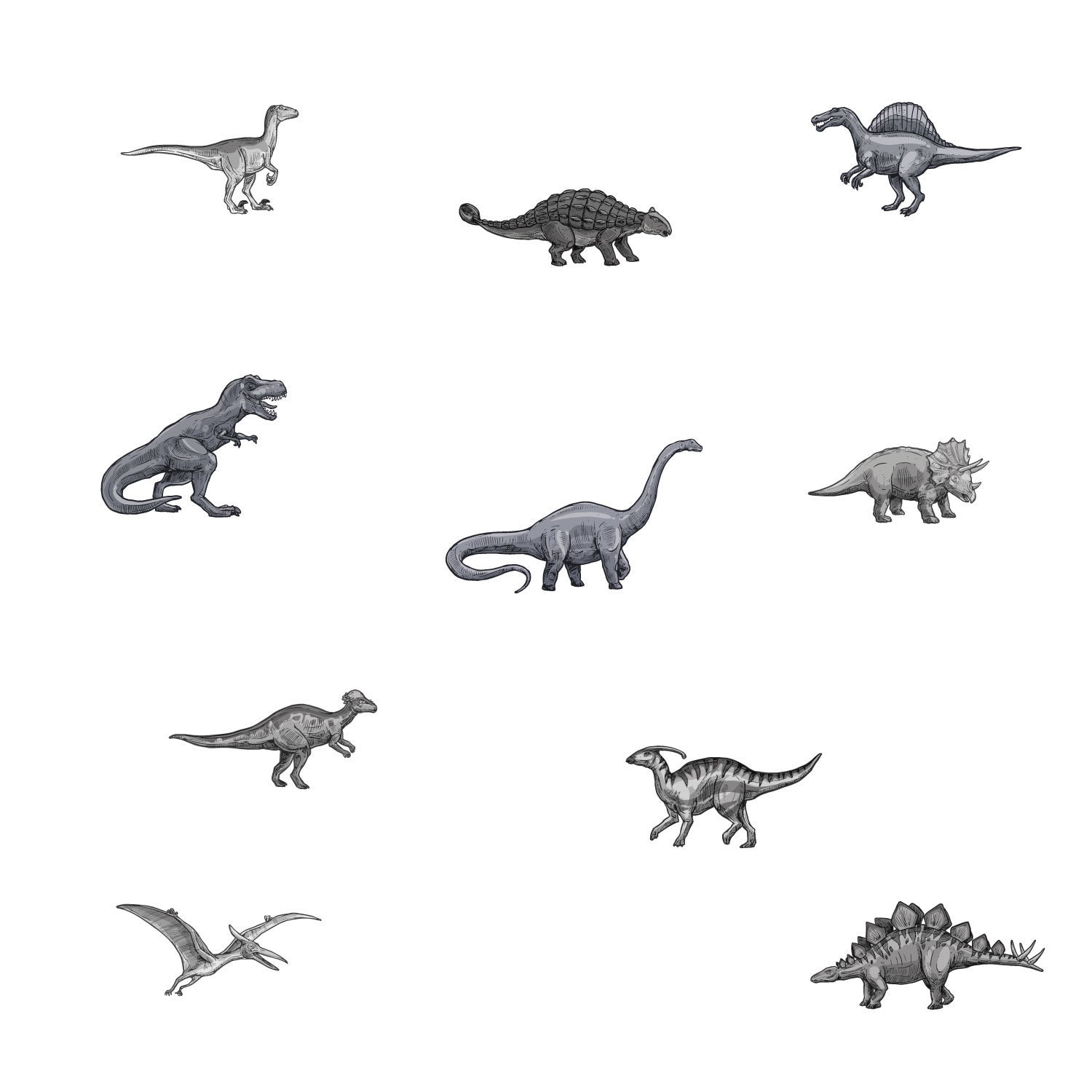 Dinosaur stickaround wall stickers Dinosaur wall decals Etsy