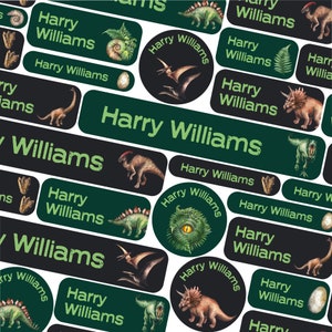 50 ou 123 étiquettes autocollantes, étiquettes de noms de dinosaures du Jurassique, autocollants de noms d'école, étiquettes de noms d'école, étiquettes de noms d'enfants pour vêtements