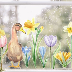 May include: A watercolour illustration of a duck with yellow daffodils, purple tulips, and blue crocuses on a window pane.