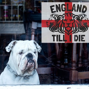 England Till I Die window sticker, Football window sticker, Football window decal, Football window decor