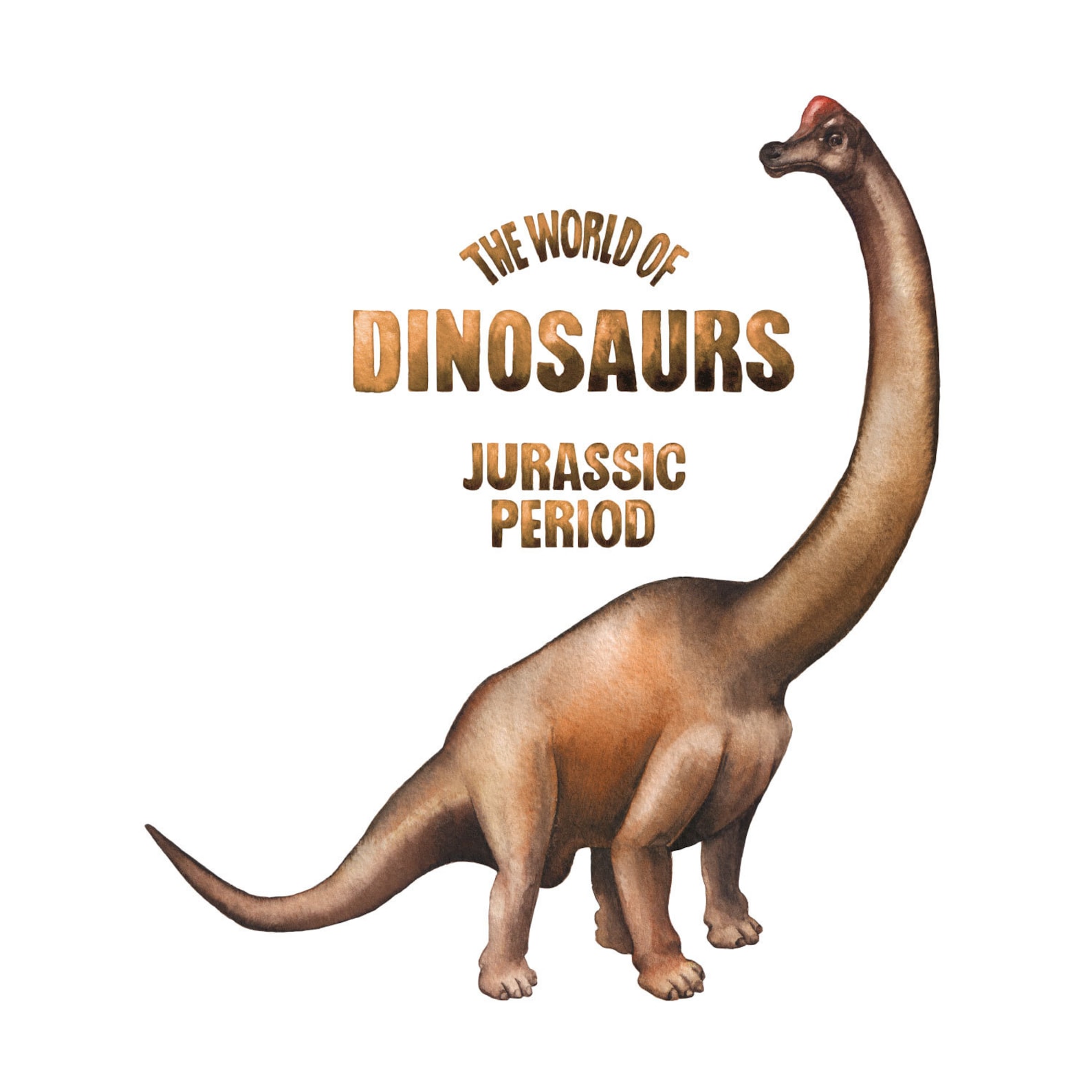 World of Dinosaurs - Brontosaurus Wall Sticker, Dinosaur Wall Decal - Etsy
