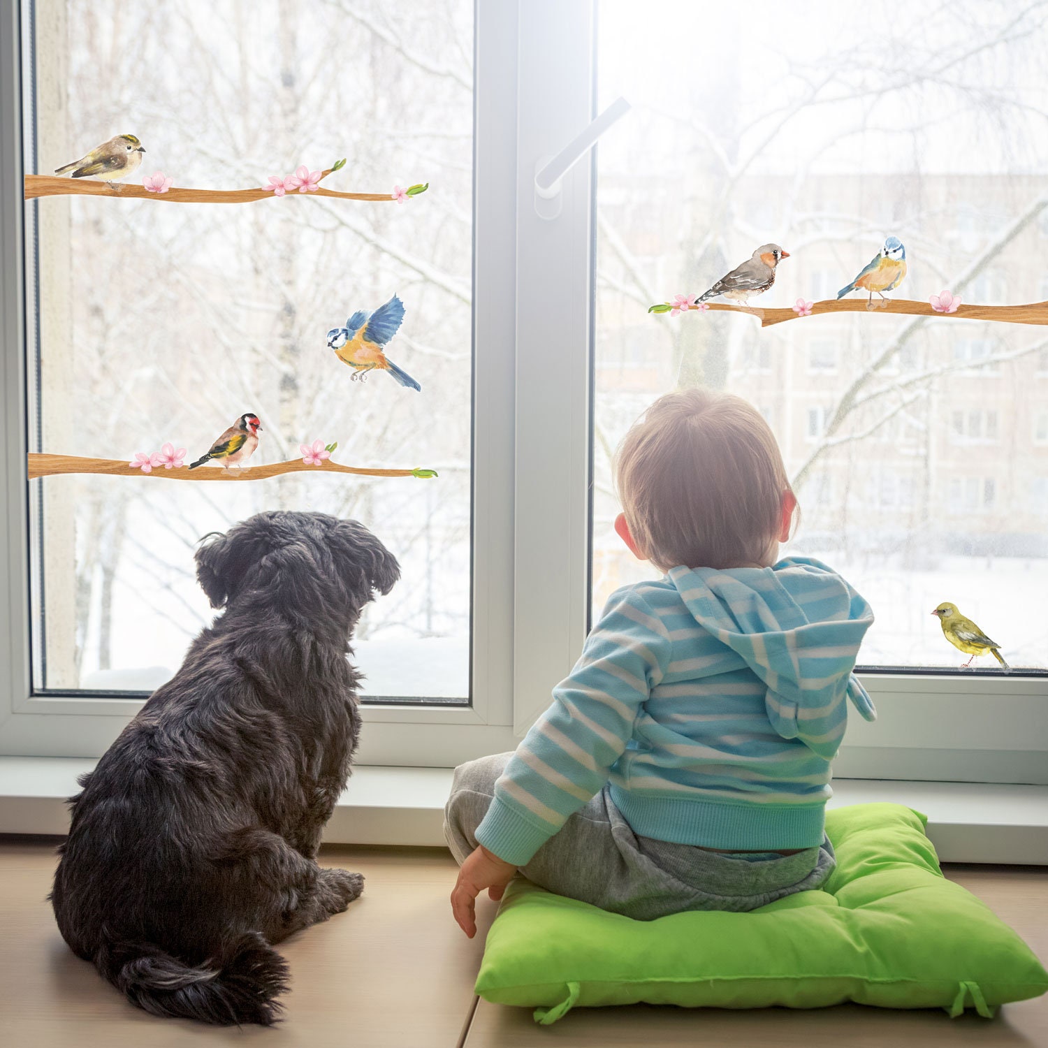 Spring Bird Window Stickers Bird Window Decoration Spring Etsy