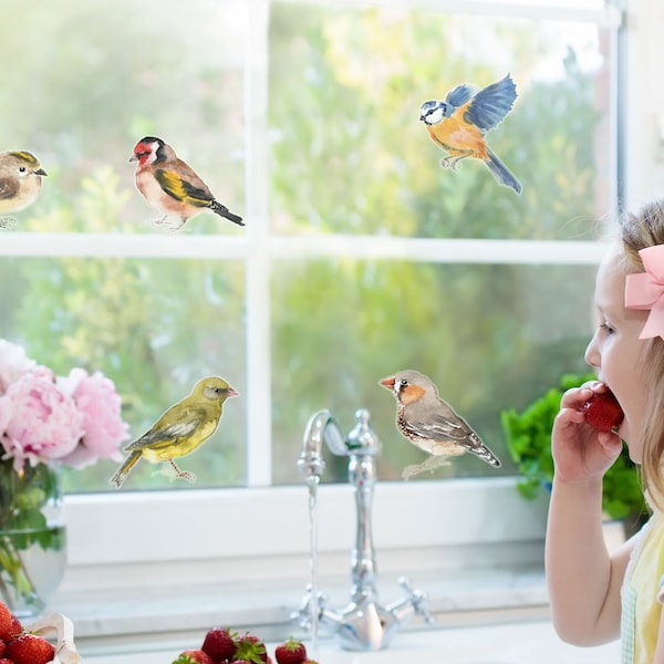 Bird window stickers, Bird window decoration,  Spring window sticker, Bird anti-collision stickers, Spring bird window stickers