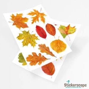 Autumn leaves window stickers, Autumnal leaves window sticker, Autumn decoration, Fall decoration, Autumn window stickers image 4