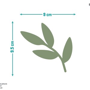 May include: A green leafy branch with five leaves, measuring 9.5 cm by 9 cm.