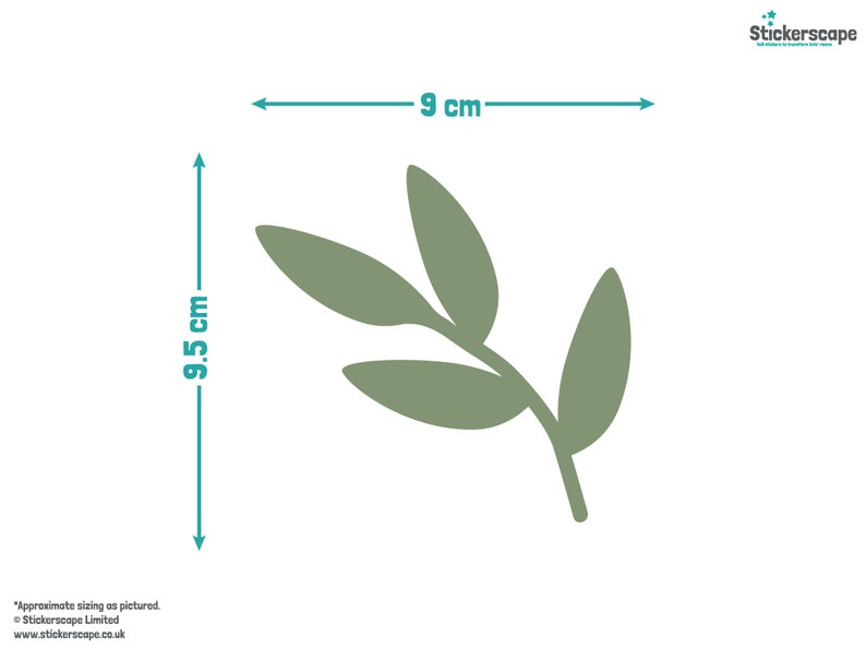 May include: A green leafy branch with five leaves, measuring 9.5 cm by 9 cm.