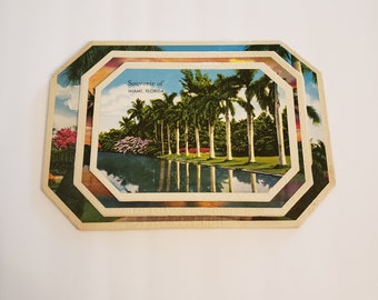 Souvenir Hot Dish Mats / Souvenir of Miami, Florida / 60's Kitsch / Retro Kitchen Decor