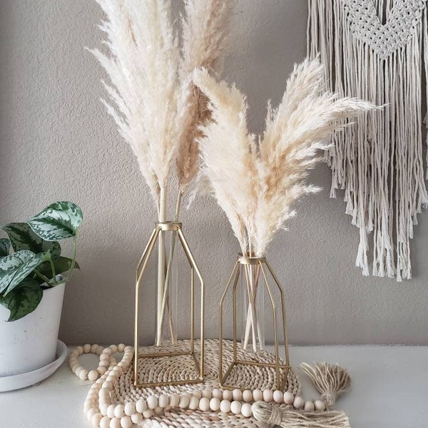 SET: Metallic Gold Caged Vases + 3 XL Pampas Grass Stems + 5 Small Cream Pampas -- boho decor -- wedding centerpiece