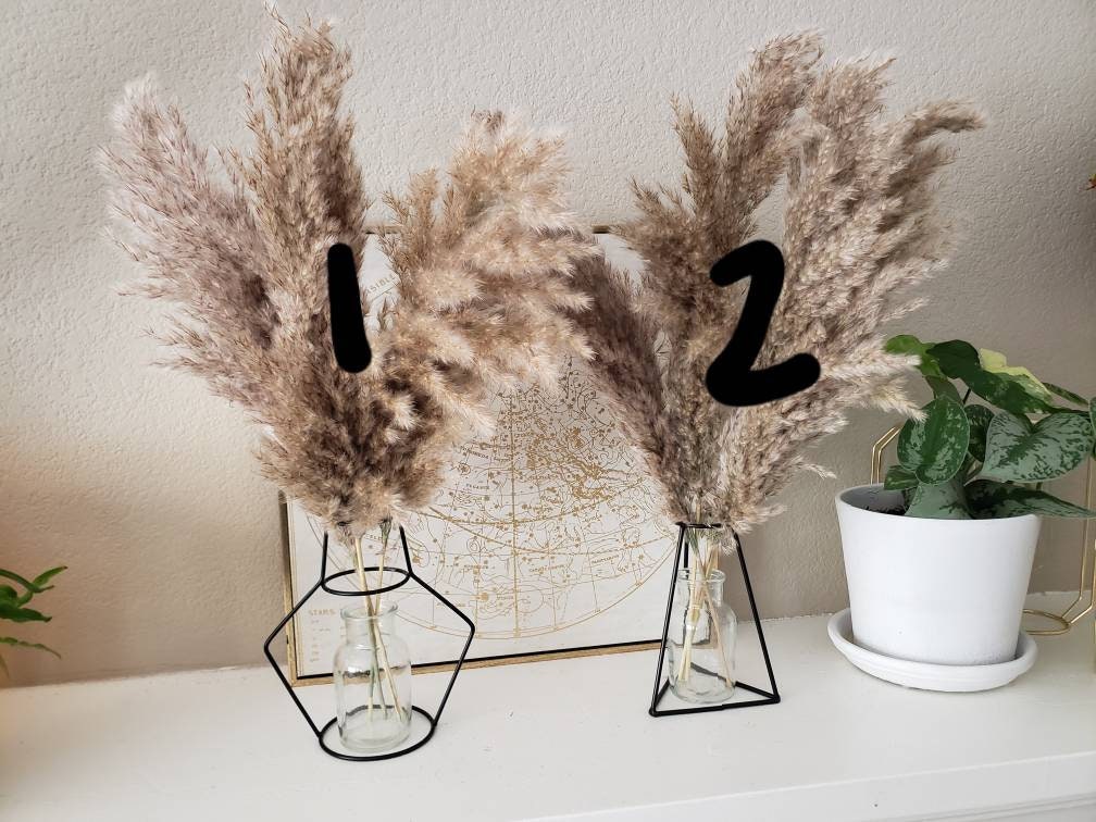 Faux feathers for vase decor 45” Home pampas pompas - Depop