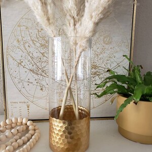 pampas