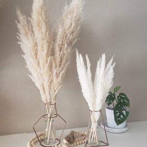 May include: Two pampas grass arrangements in clear glass vases with copper wire frames. The vases are on a white surface with a wooden bead garland and a brown tassel.