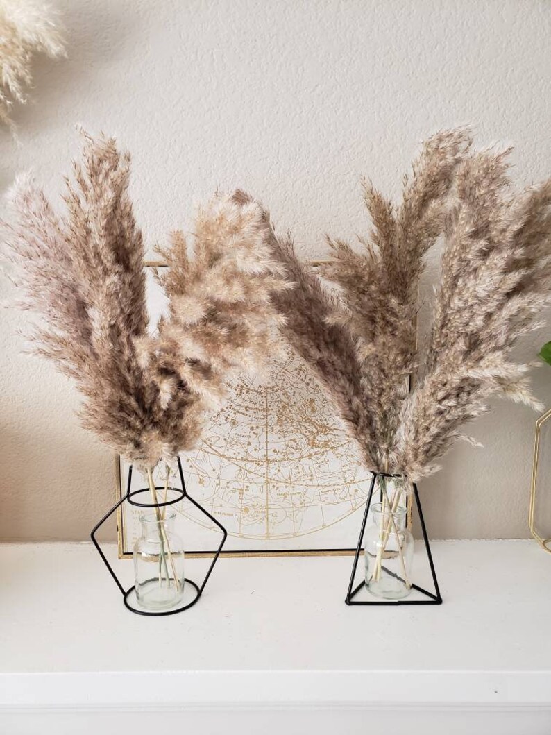 SET Black Caged Bud Vase Glass Jar 5 Pampas Grass Stems Etsy