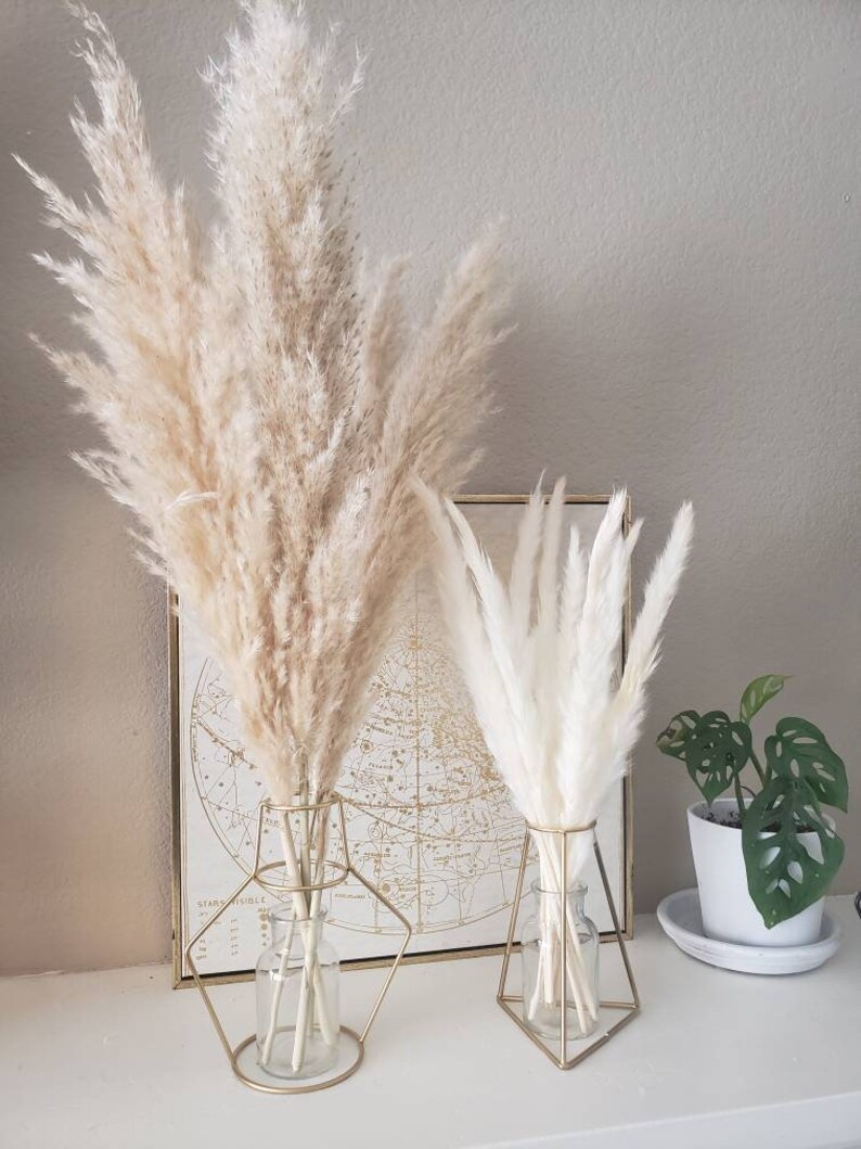 May include: Two gold metal geometric vases with dried pampas grass. The vase on the left has beige pampas grass and the vase on the right has white pampas grass. The vases are on a white surface.