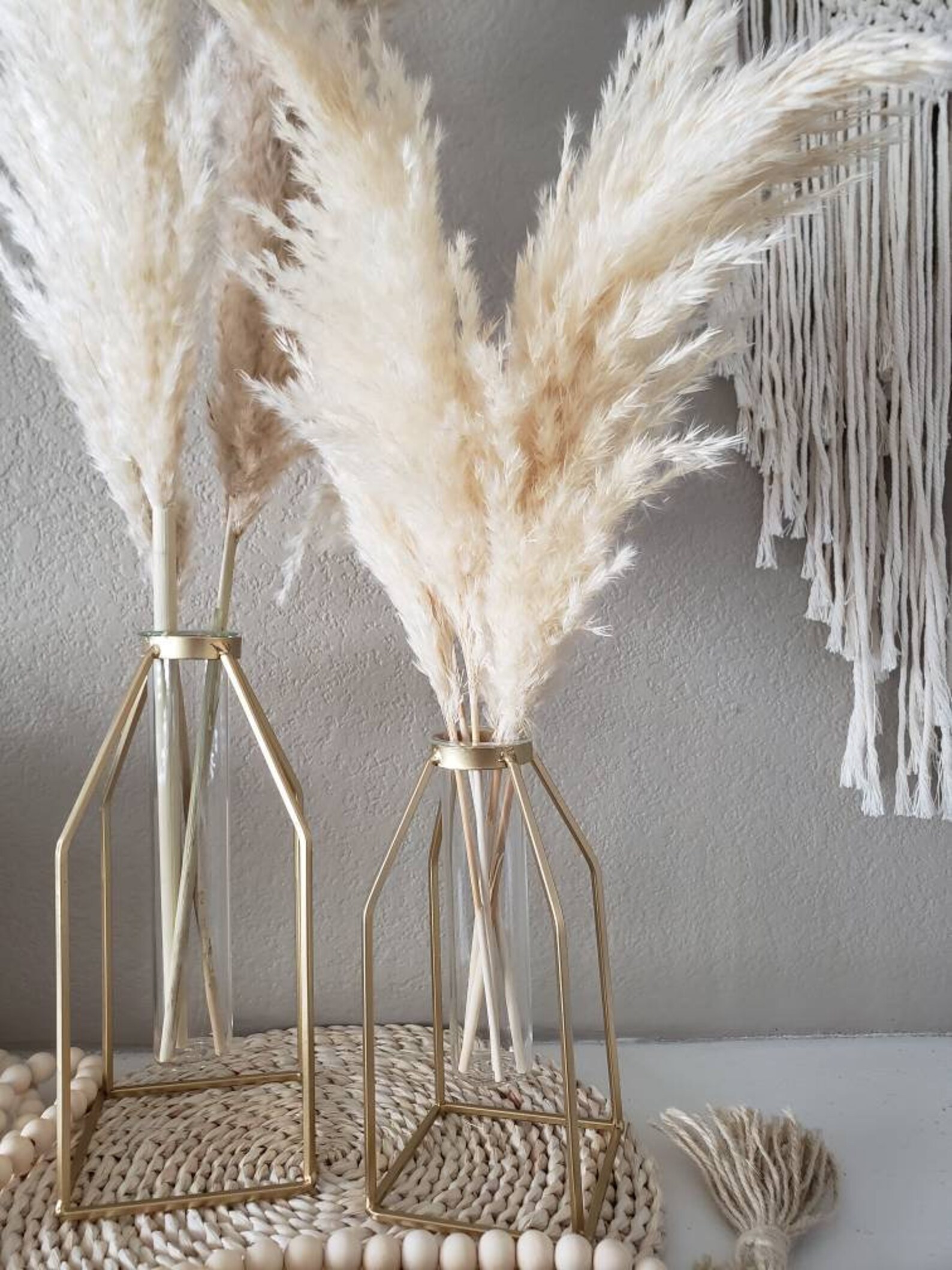SET Metallic Gold Caged Vases 3 XL Pampas Grass Stems 5 Etsy