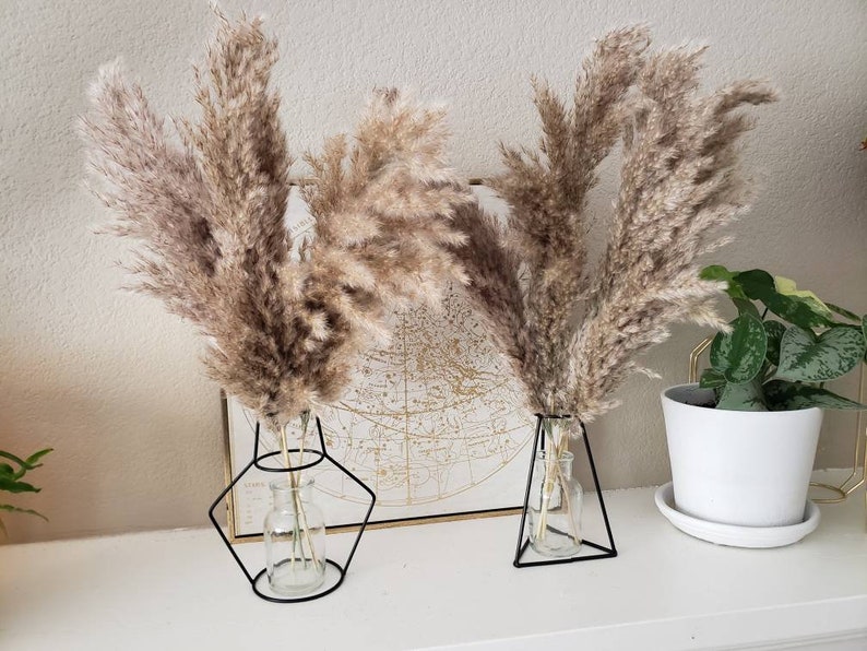SET Black Caged Bud Vase Glass Jar 5 Pampas Grass Stems Etsy