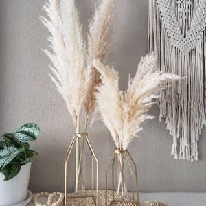 pampas caged vases stems