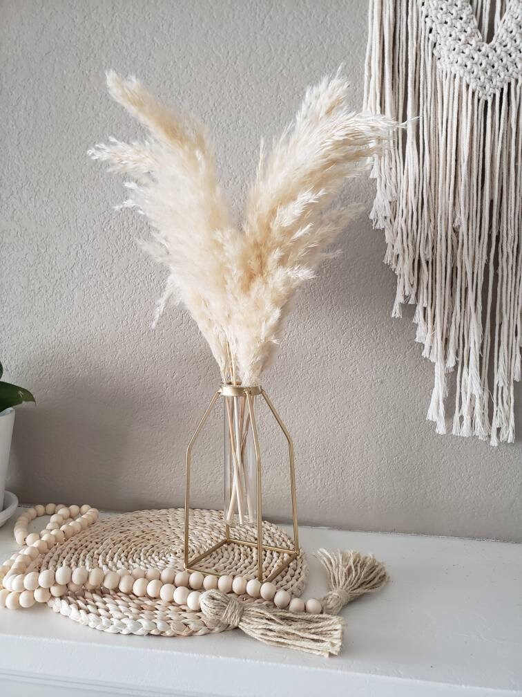 SET 2 Metallic Gold Caged Vases 3 XL Pampas Grass Stems 5 Etsy