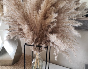 PAMPAS GRASS Golden Brown - 20 inches tall - boho decor - wedding decor - bulk