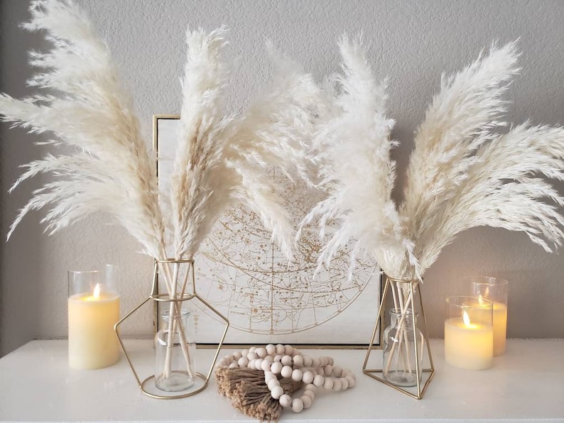 May include: Two vases with fluffy, cream-colored pampas grass are displayed on a white surface. The vases have a gold geometric metal frame and a clear glass insert. Lit candles and decorative beads complete the home decor scene.
