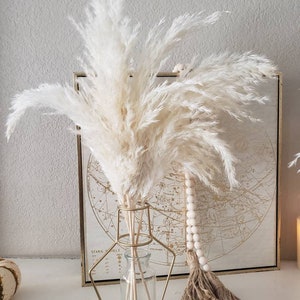 May include: A decorative arrangement featuring fluffy, cream-colored pampas grass in a clear glass vase with a gold metal geometric stand. A framed world map and a beaded garland with a jute tassel are in the background, creating a neutral, bohemian aesthetic.
