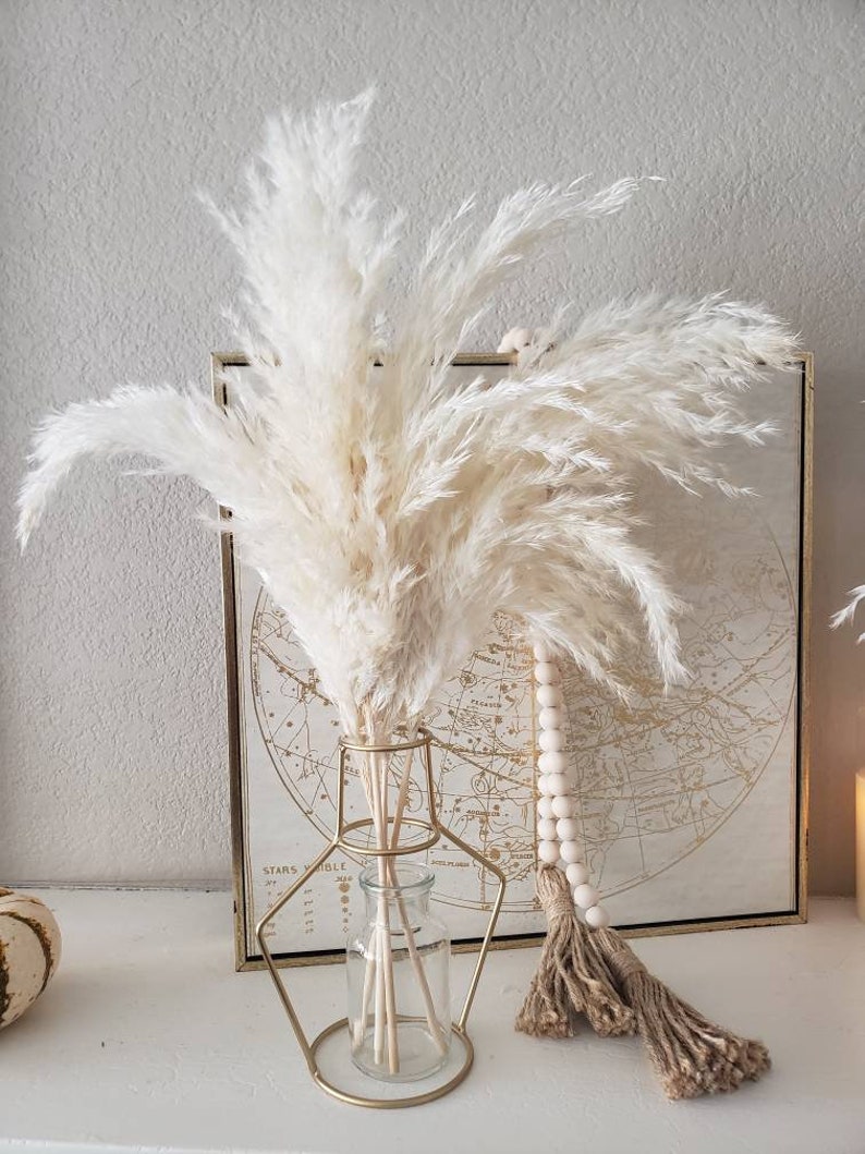 May include: A decorative arrangement featuring fluffy, cream-colored pampas grass in a clear glass vase with a gold metal geometric stand. A framed world map and a beaded garland with a jute tassel are in the background, creating a neutral, bohemian aesthetic.