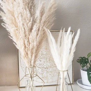 May include: Two bouquets of dried pampas grass in gold geometric vases. The larger bouquet is beige and the smaller bouquet is white. The vases are on a white surface in front of a framed map.