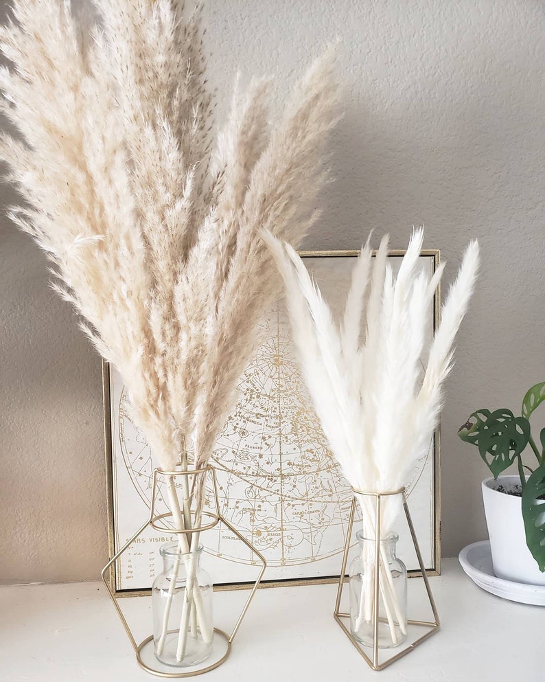 May include: Two bouquets of dried pampas grass in gold geometric vases. The larger bouquet is beige and the smaller bouquet is white. The vases are on a white surface in front of a framed map.