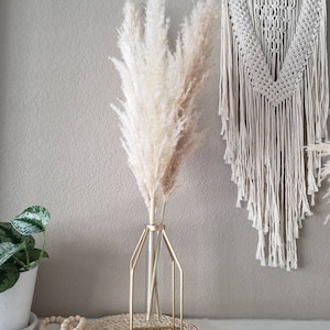 pampas caged stems