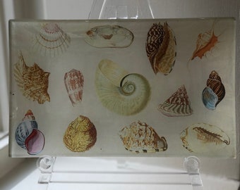 Seashell Decoupage Tray