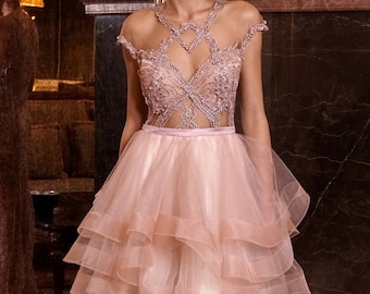 Short open back dress Sleeveless dance dress Short evening dress, Romantic pink prom dress Short Tulle lace dress illusion neckline formal