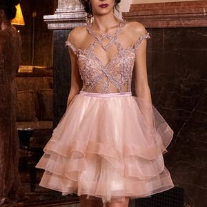 Short open back dress Sleeveless dance dress Short evening dress, Romantic pink prom dress Short Tulle lace dress illusion neckline formal image 1