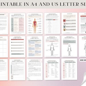 TRAUMA TOOLKIT -- Fight, Flight, Freeze, Fawn | Trauma Responses ...