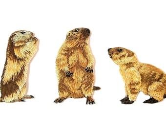 iron on label Marmot