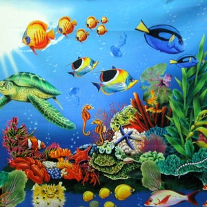 Könnte beinhalten: Eine farbenfrohe Unterwasser-Szene mit einer Meeresschildkröte, einem Seepferdchen, einem Seestern und verschiedenen Fischen, die zwischen Korallenriffen und Seegras schwimmen.