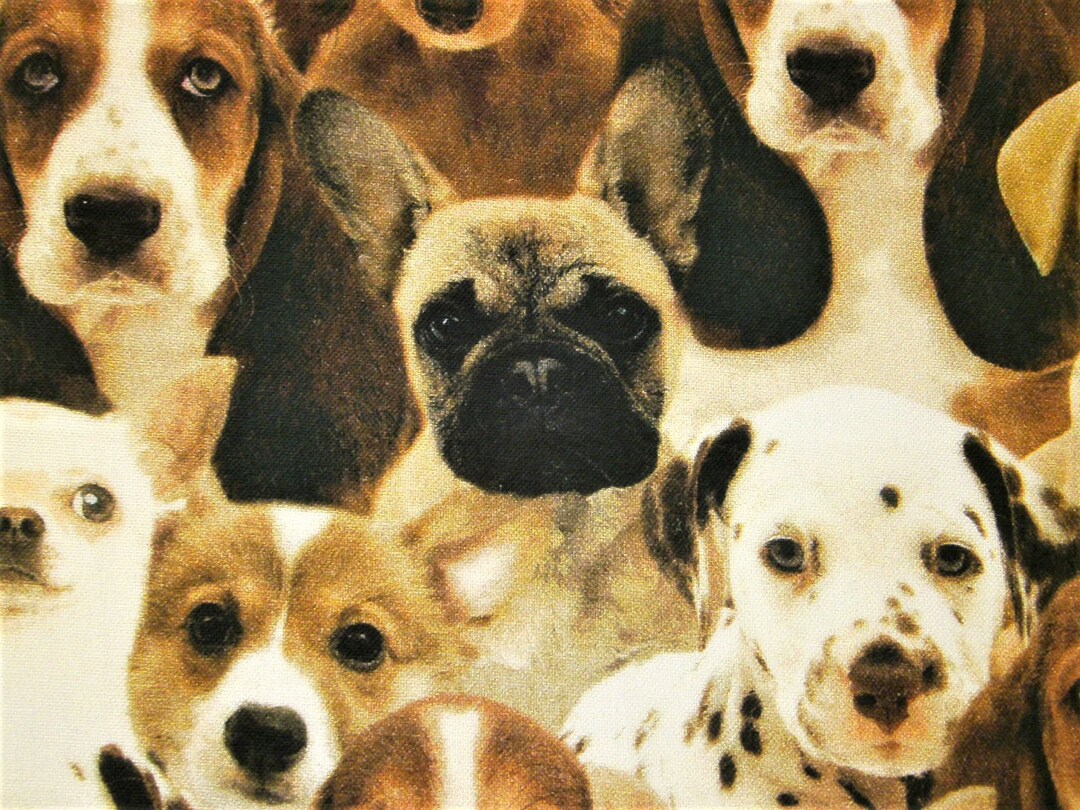 0,5 M Digital Print Cotton Fabric 'puppies' 110 Cm Width Etsy