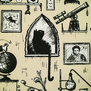 Könnte beinhalten: Eine Schwarzweißillustration einer Katze, die in einem Fenster sitzt, mit einem Globus, einem Teleskop und anderen wissenschaftlichen Instrumenten in Regalen im Hintergrund.