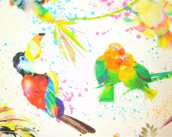 0,5 m Printed fabric "Colorful Birds - Toucan & Co" 110 cm w.