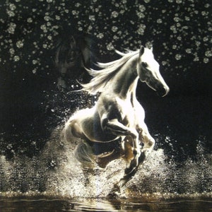 May include: A white horse galloping through dark water, creating a large splash. The background is black with scattered, circular light reflections that resemble bokeh or sparkling particles, highlighting the horse's movement and mane.