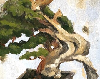Bonsai Tree Painting Etsy