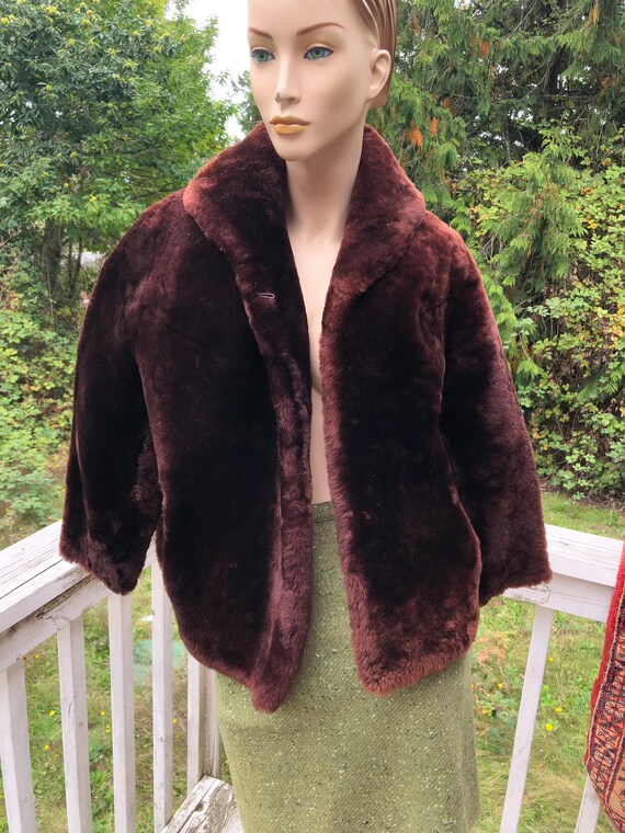 50S Cropped Brown Mouton Beaver Fur Jacket Coat Ev