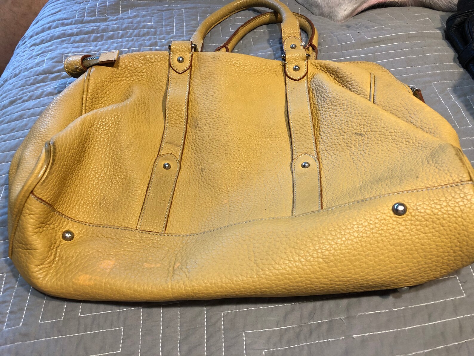 dooney and bourke mustard