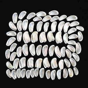 Polished Donkey Ear Abalone Shells 80 pcs. – Pearl White Crafting Seashells (1 1/4" - 1 3/4")