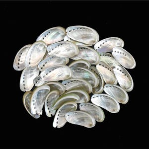May include: A collection of iridescent abalone shells, each with a pearlescent sheen and a row of small holes. The shells are arranged in a pile against a black background, showcasing their natural beauty and unique textures.