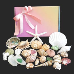 May include: A collection of seashells, a starfish, and sea glass are arranged in front of a gift box with a pink ribbon. The shells vary in size, shape, and color, including white, tan, and pink. The box has a gradient of pink, yellow, and blue.