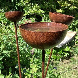 May include: A three-tiered bird bath with a weathered, brown finish. The bowls are filled with water, and the structure is set amidst lush green foliage. The design is simple and functional, perfect for attracting birds to a garden.