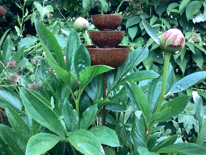 May include: A tiered, rustic metal fountain with three bowls, set amidst lush green foliage and peony buds. The fountain's bowls have a weathered, brown finish. The surrounding plants have large, vibrant green leaves, creating a natural, garden-themed scene.