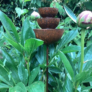 May include: A tiered, rustic metal garden fountain with three bowls of decreasing size. The fountain is set amidst lush green foliage, including large leaves and unopened flower buds. The metal has a weathered, brown patina.